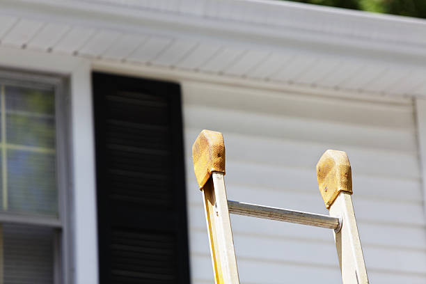 Best Custom Trim and Detailing for Siding  in USA